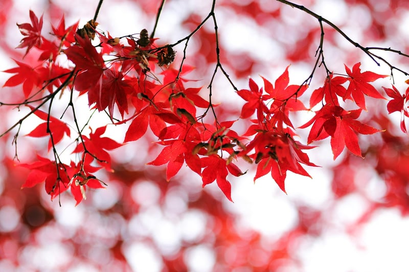 Fall Vertical Garden